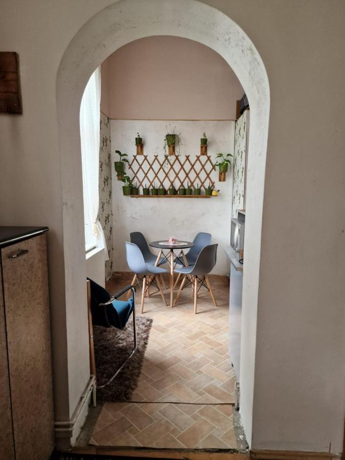 Apartament Ultracentral 2 Piata Muzeului Клуж-Напока Экстерьер фото