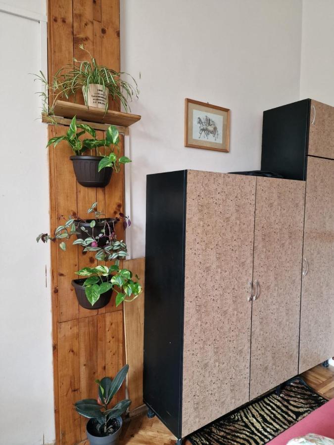 Apartament Ultracentral 2 Piata Muzeului Клуж-Напока Экстерьер фото